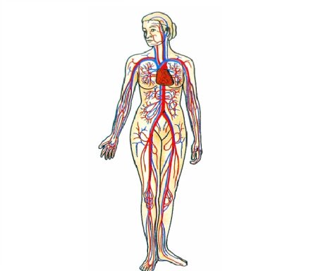 Angiología y Cirugía Vascular